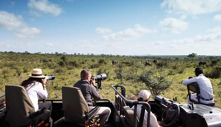 Photographic safari at Londolozi Game Reserve in the Kruger National Park
