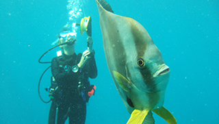 Scuba diving at Azura Benguerra