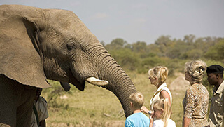 Family interacting with elephant at Camp Jabulani