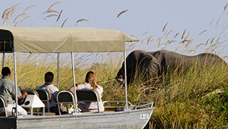 Elephant sighting during water safari at Camp Xakanaxa 