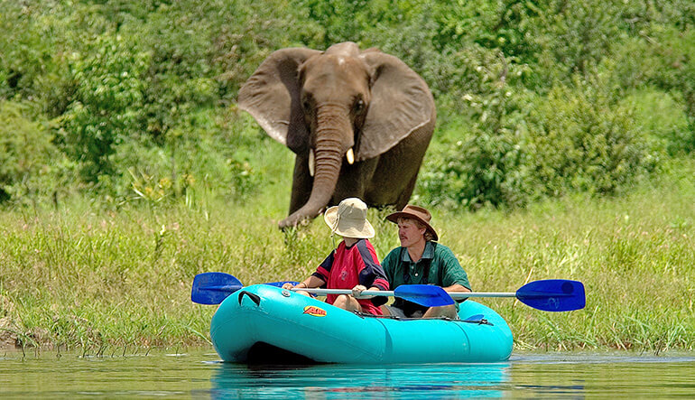 Couple canoeing in Zambezi River with elephant on riverbank