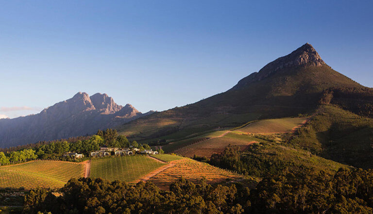 Cape Winelands Wine Tasting Tour 