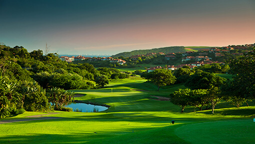 Green of the Zimbali Golf Course