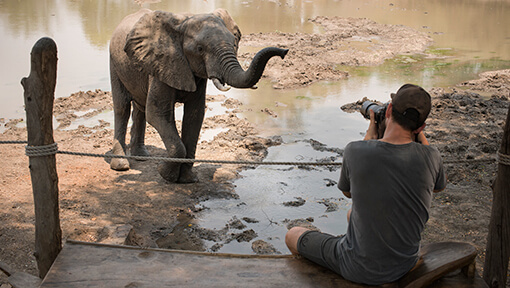 Man photographing elephant from viewing deck of Exterior of tented suite at andBeyond Kanga Camp
