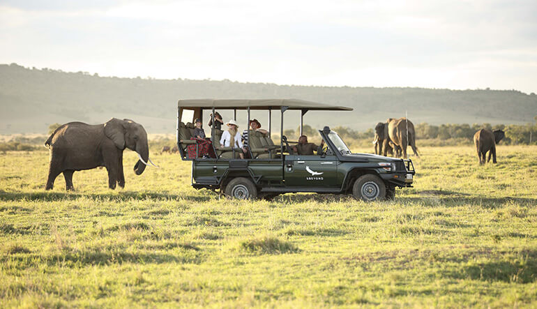 Safari game drive vehicle next to elephant on safari in the Masai Mara in Kenya