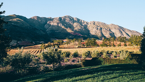 Scenery of the Cape Winelands from La Residence