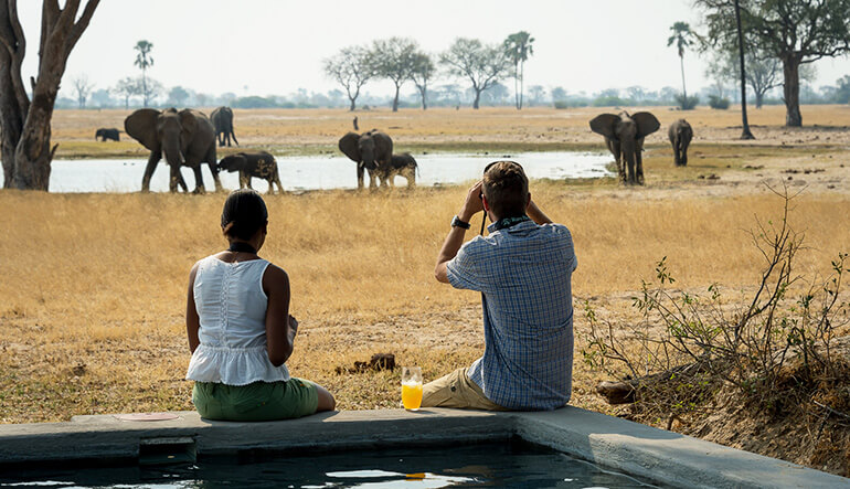 Couple looking at elephants in waterhole at Linkwasha Camp