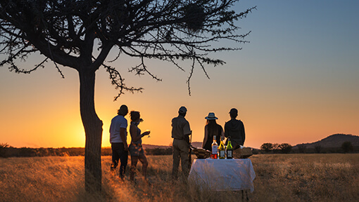 Sundowners during safari game drive through Ongava Game Reserve