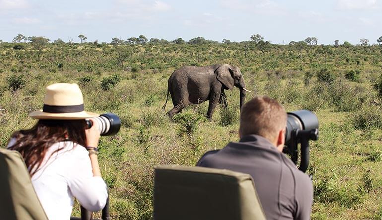 Photographic Safari in the Kruger National Park