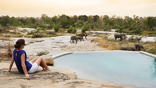 Woman sitting at pool looking at herd of elephants at Londolozi Game Reserve Private Granite Suites