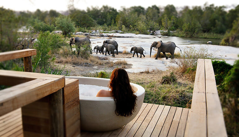 Woman having an outdoor bat watching a herd of elephant at the watering hole at the Londolozi Private Game Reserve Private Granite Suites