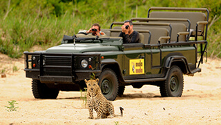Leopard caught on a photographic safari at Rattray’s on MalaMala 