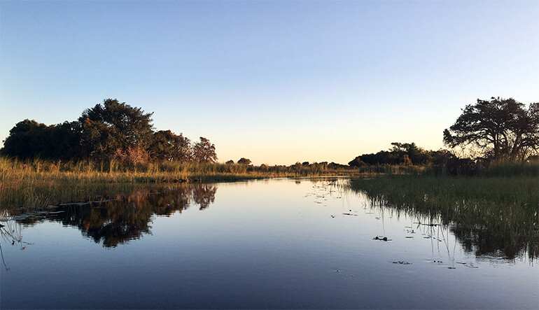 Mokoro ride in Okavango Delta Botswama