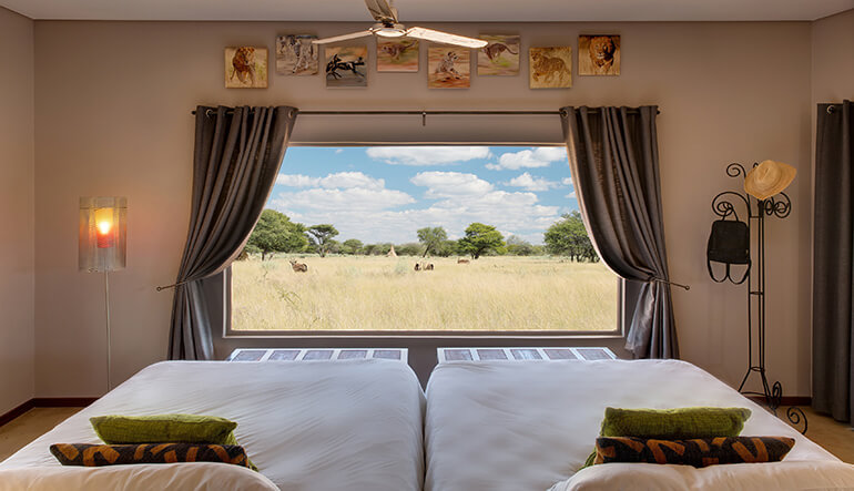 View of the Okonjima Nature Reserve from the window of the suite