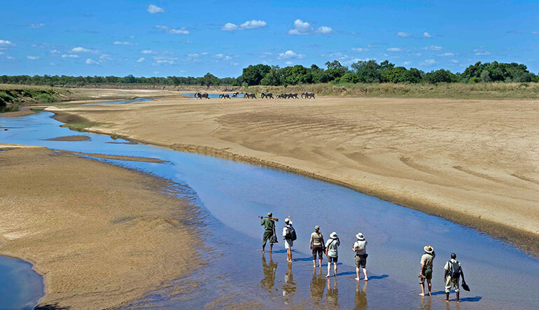 Group enjoying walking safari in Zambia