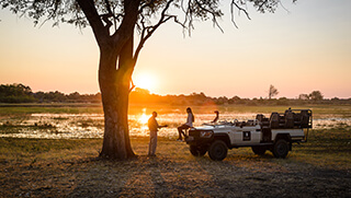 Safari game drive in Okavango Delta
