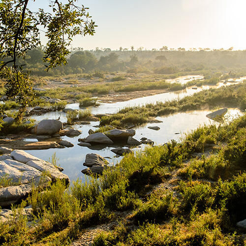 View of the Sand River from the viewing deck of Singita Game Reserve Boulders Lodge