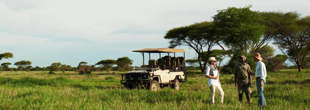 Safari game drive in Malilangwe Reserve Zimbabwe
