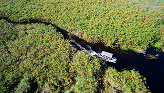 Aerial shot of motorboat in Okavango Delta