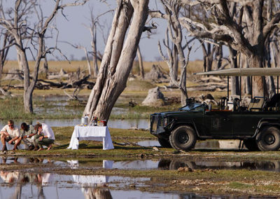 4-Day Botswana Okavango Delta Adventure
