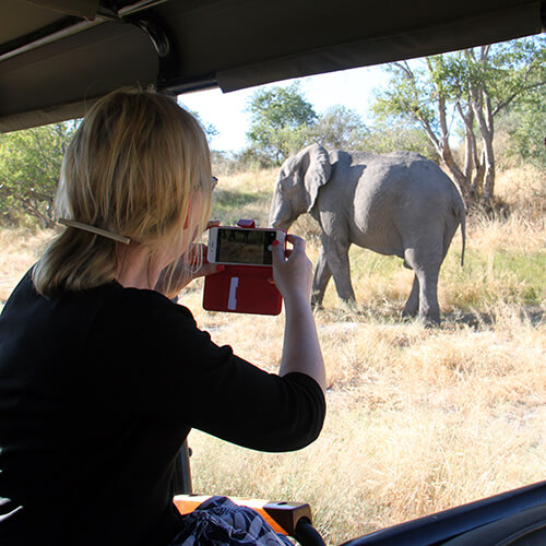 Woman taking photograph of an elephant during a safari game drive in Botswana
