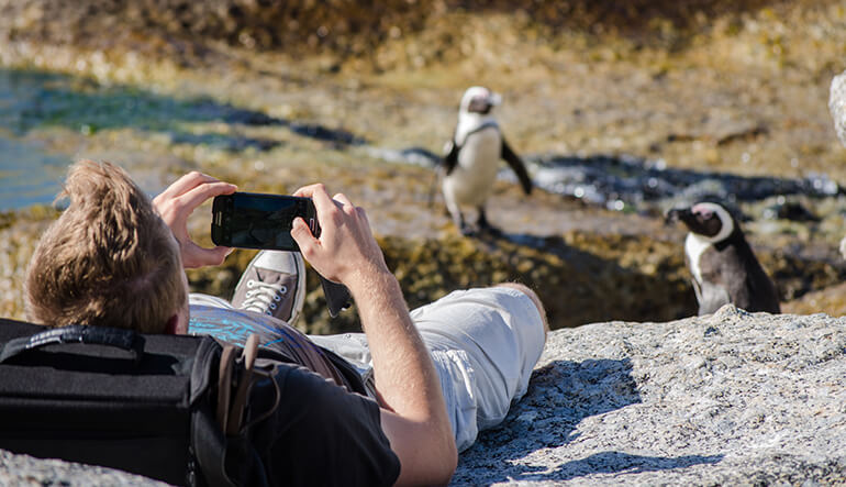 Man taking pictures of penguins at Boulders Beach