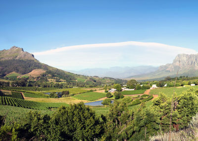 Cape Winelands Cycle and Wine Tour