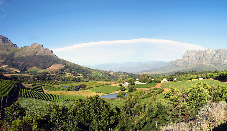 Cape Winelands Cycle and Wine Tour