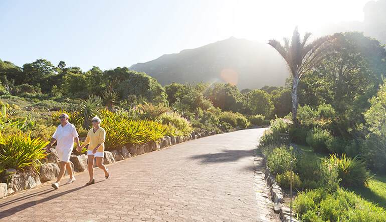 Couple holding hand walking through Kirstenbosch Botanical Gardens