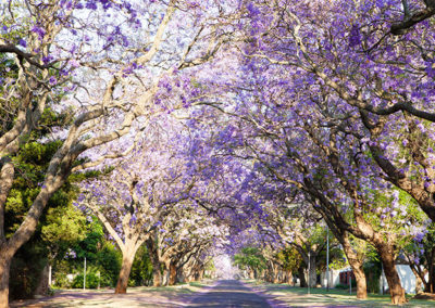 Pretoria City Highlights and Attractions Tour