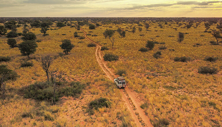 12-Day Northern Botswana Self Drive Safari