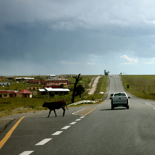 Road in the Eastern Cape