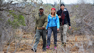 Walking safaris in the Timbavati with Bateleur Safari Camp