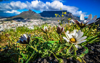 Explore South Africa with Free Access to National Parks this Heritage Month