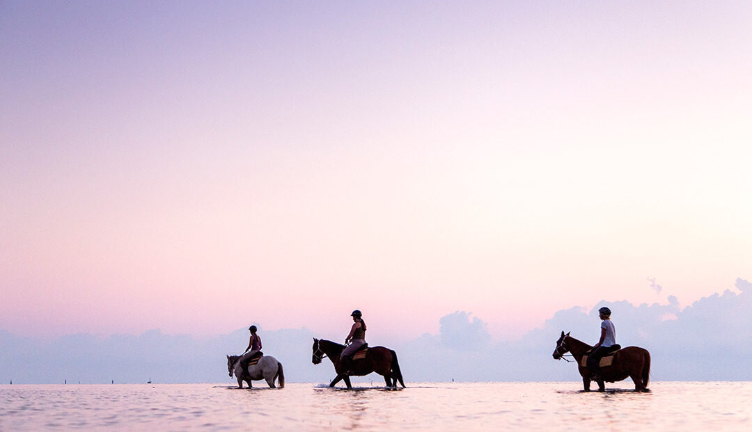 Horseback Riding on the Beach in Mozambique