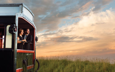 Discover South Africa in Style With Luxury Train Travel Tours and Itineraries