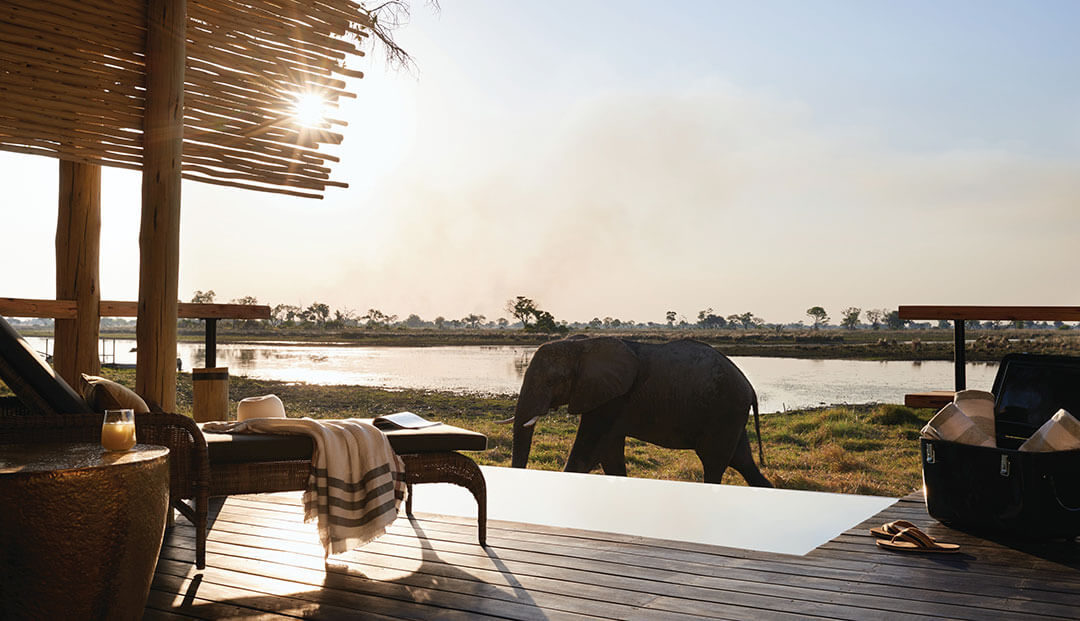 Elephant walking past tented suite at Belmond Eagle Island Lodge