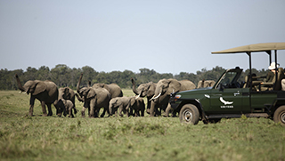 Game drive safaris in the Masai Mara