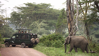 Safari game drive at andBeyond Ngorongoro Crater Lodge