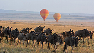 Hot air balloon safari in the Serengeti National Park in Tanzania