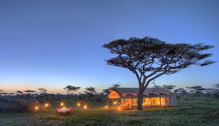 andBeyond Serengeti Under Canvas at night
