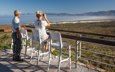 Grootbos Private Nature Reserve (2019 Review)