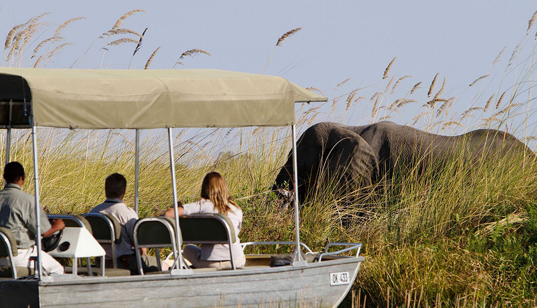 Water safari in the Okavango Delta