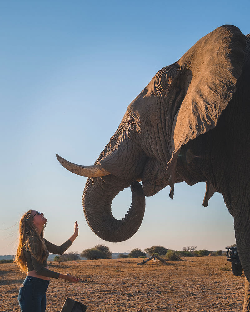 Woman standing with elephant at Camp Jabulani