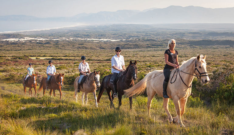 Horseback riding at Grootbos Private Nature Reserve