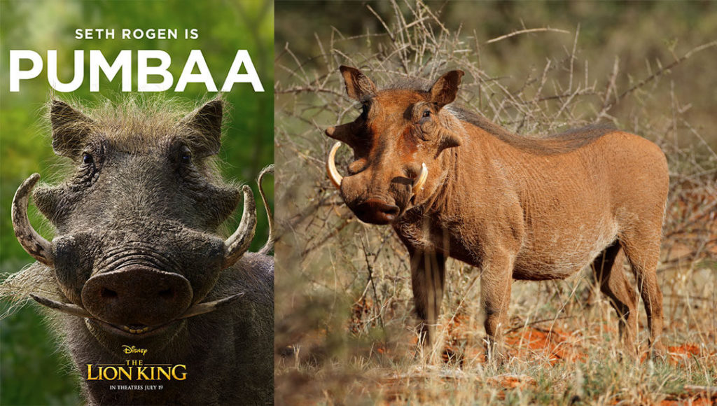 Pumbaa from The Lion King and a warthog