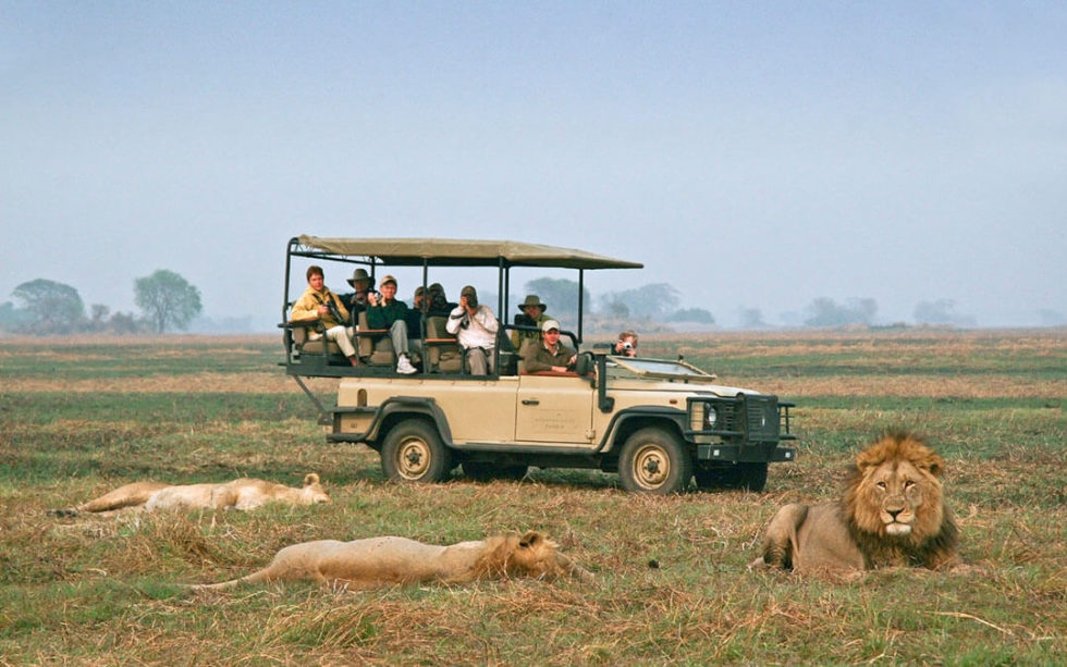 kenya safari documentary