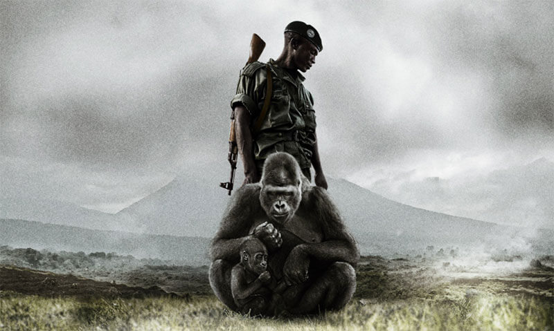 Virunga Wildlife Documentary promo image