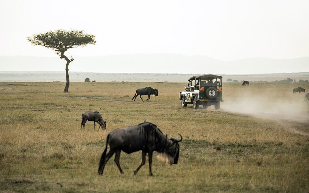 Kenya Safari Packing List